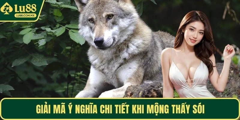 Giải mã ý nghĩa chi tiết khi mộng thấy sói